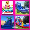 Patos 