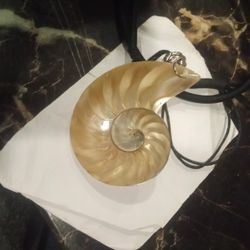 Rare Natural Pearly Mother of Pearl Shell Pendant