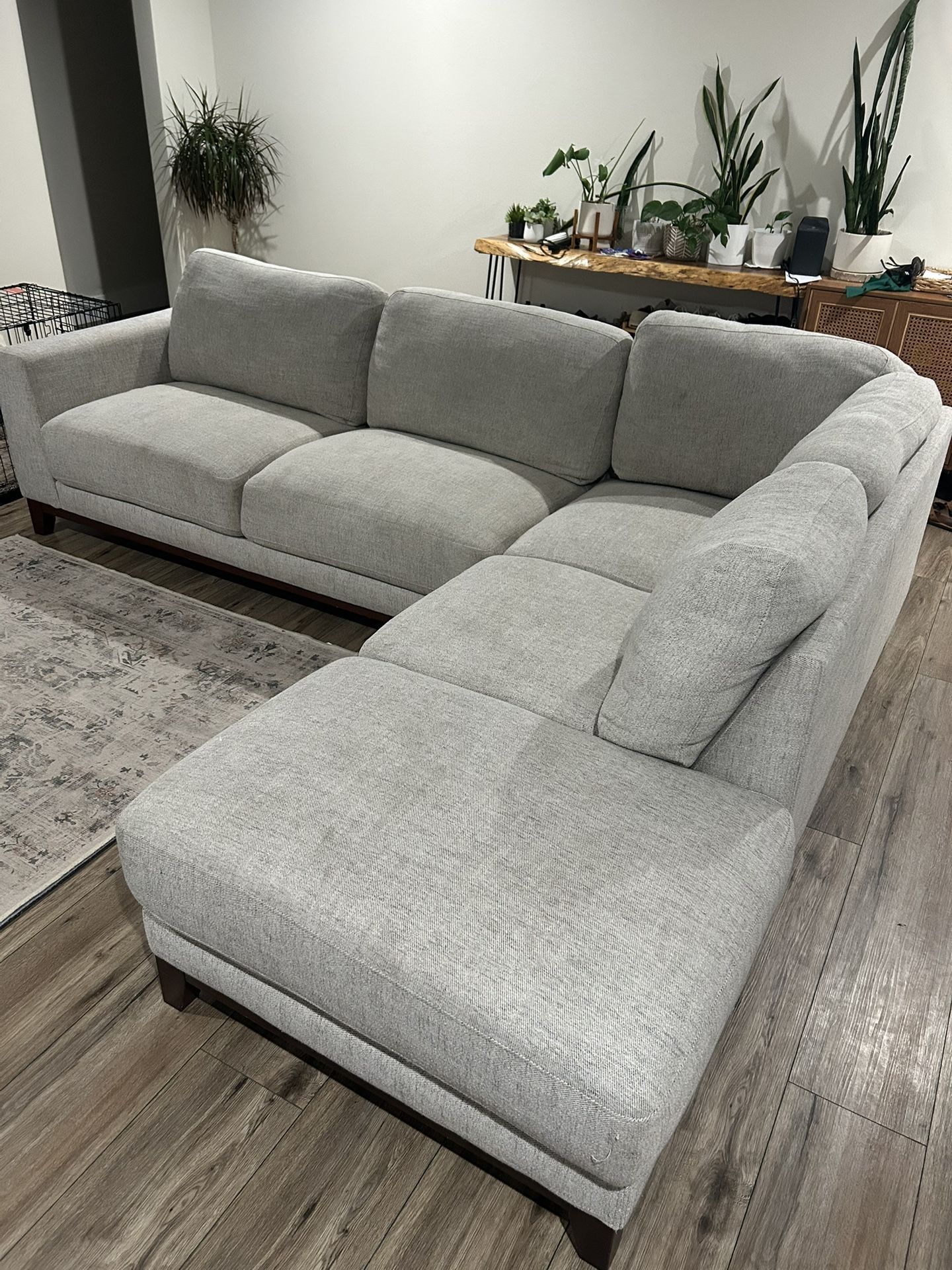 Living Spaces Couch