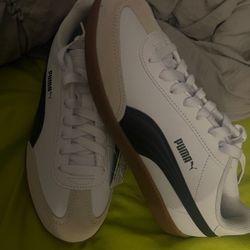 Puma