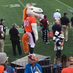 8 Denver broncos/ Green Bay Packers Tickets For Sale 