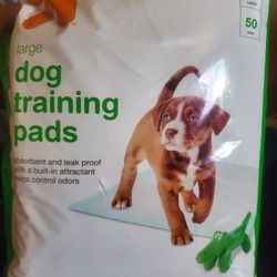 Dog Training Pads