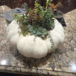 Succulent Pumpkin Centerpieces For Fall/ Halloween/Thanksgiving 
