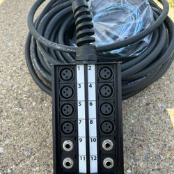 Pro Co StageMaster Stage Snake - 100 Feet