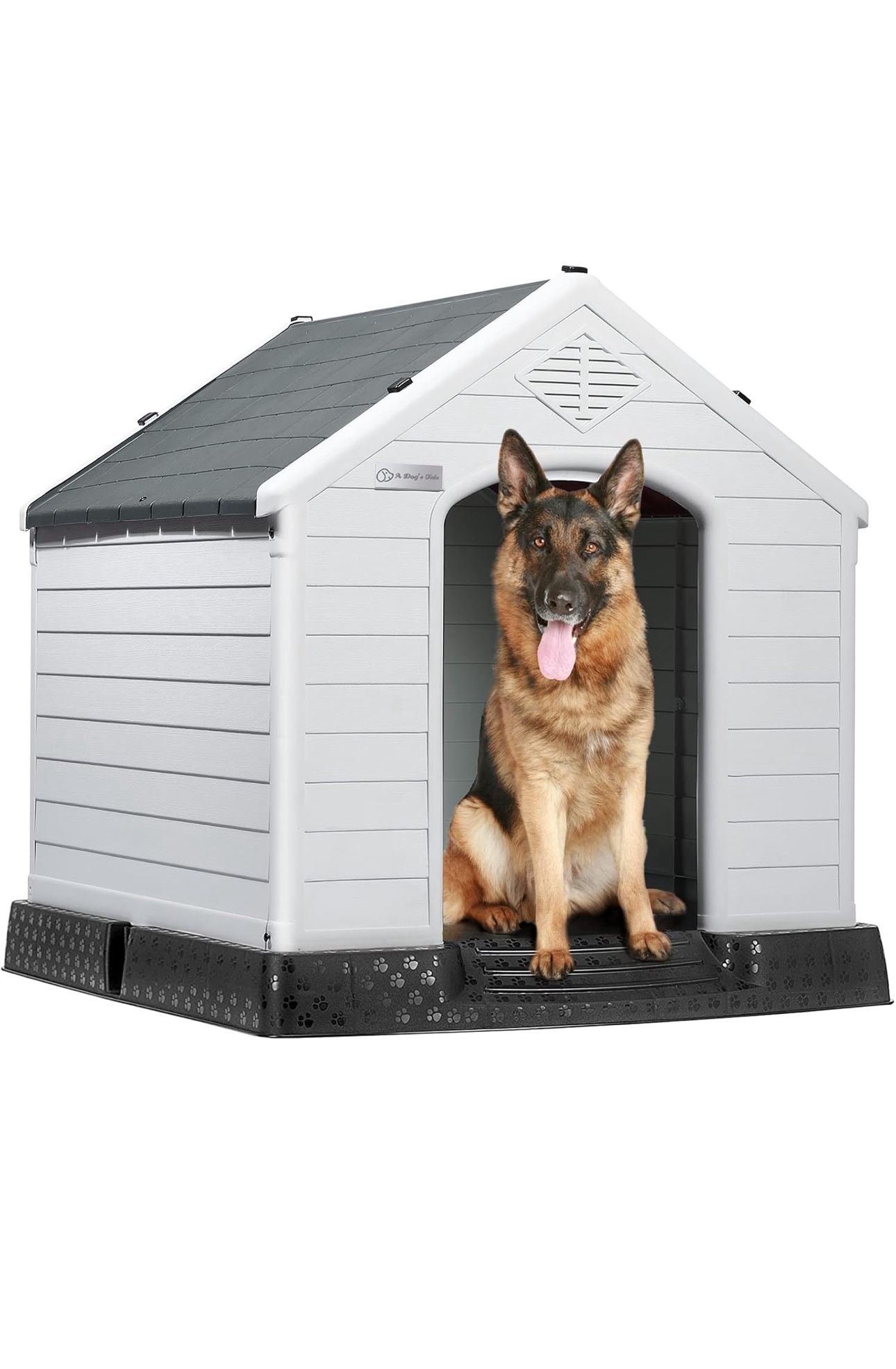 Dog House