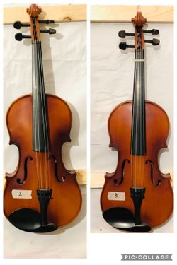 2 VIOLAs 15 and 16