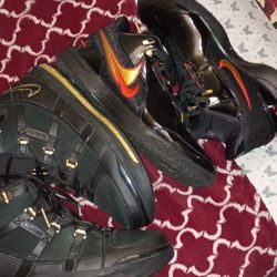 LeBron James Size 12