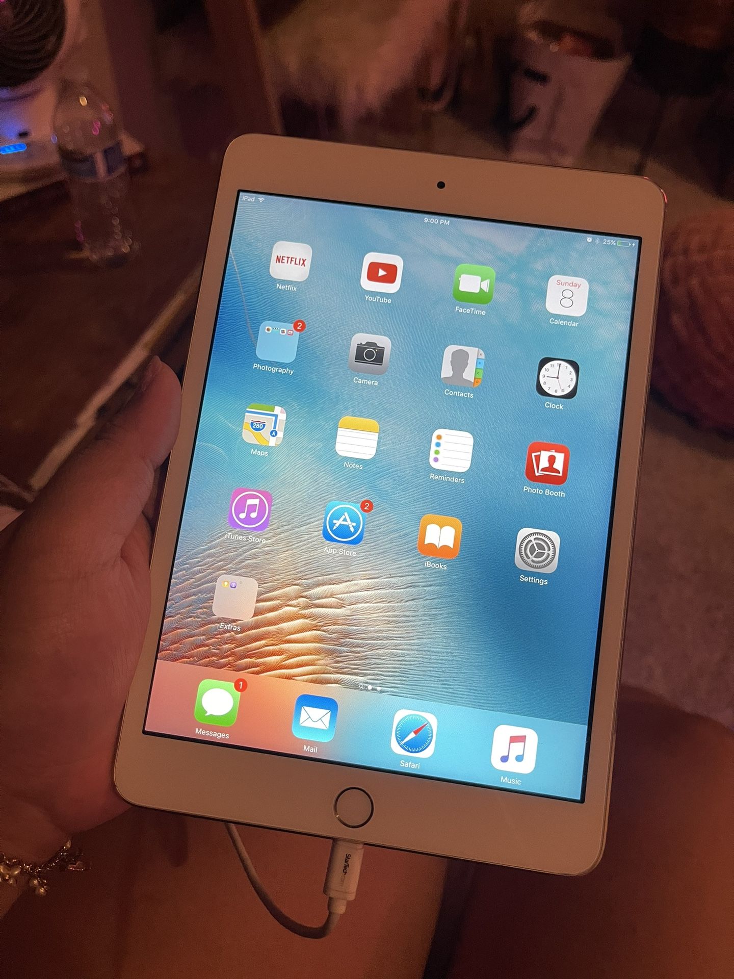 iPad mini 4