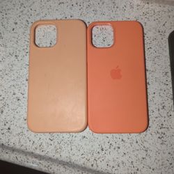iPhone 12/13/14 Case