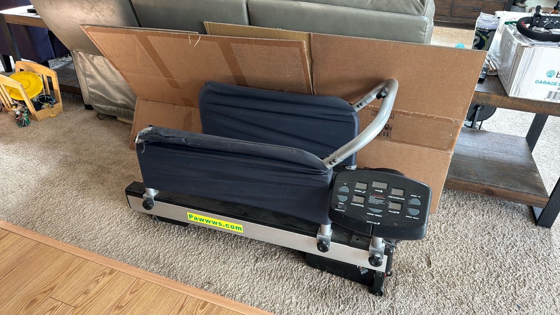 dog treadmill