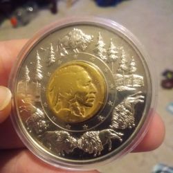 Beautiful Gold-plated Buffalo Nickel In The Center Of A Large Silver Clad Buffalo Eagle
