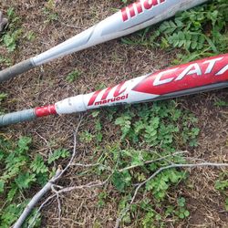 Softball Bats 