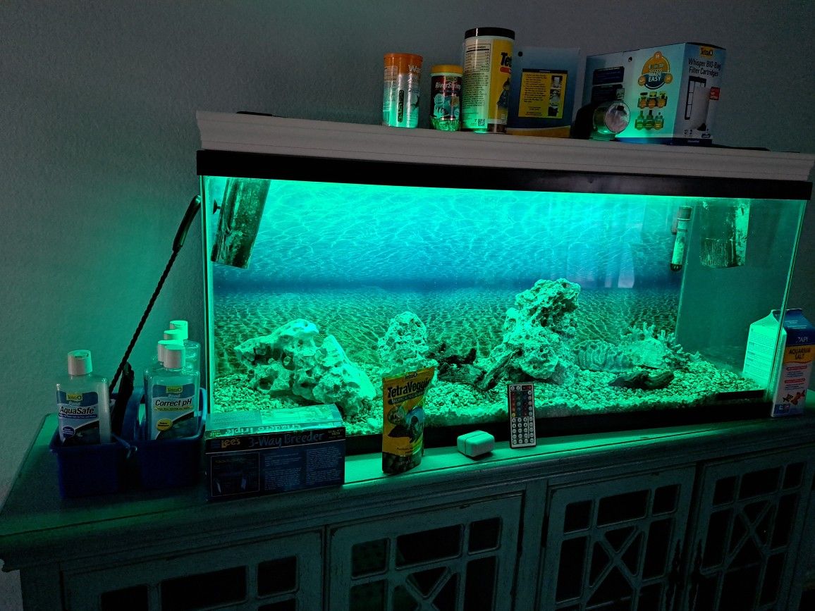 55 GL Acuarium