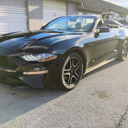 2014 Mustang GT Convertible 