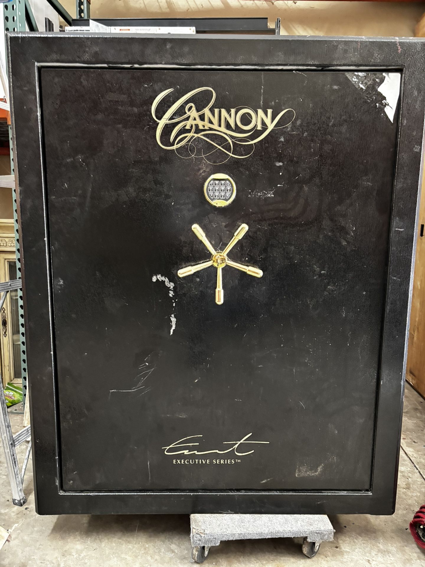 Cannon Safe
