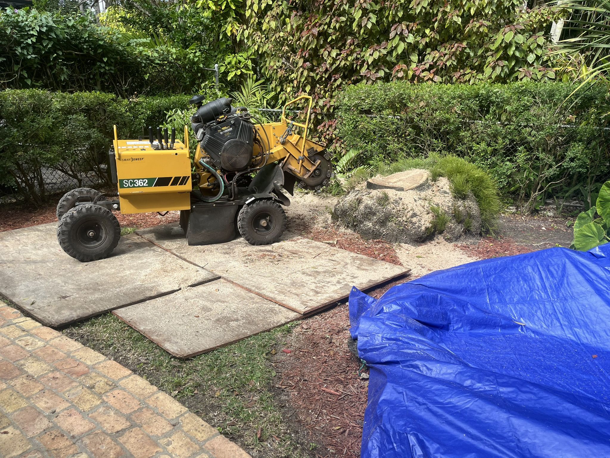 Stump Grinding