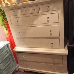 CUTE  AT PICKY PINCHERS 801 TURNER ST CLEARWATER OPEN TODAY 12-6 FREE DELIVERY 