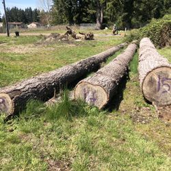 Fire Wood