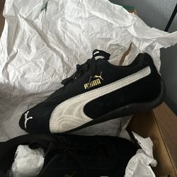 Pumas 