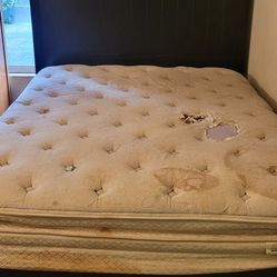 Free Queen Bed Frame And Mattress Need Gone 