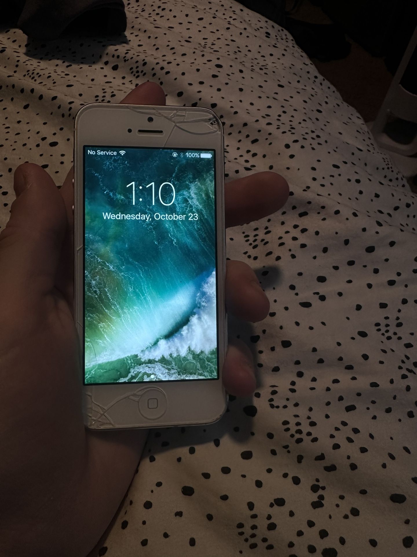 iPhone 5 