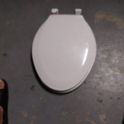 Two Toliet Seat