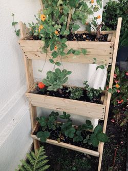 Handmade plants stand serious inquires no bargain ( plants is not included)