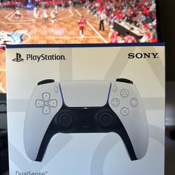 ps5 controller 