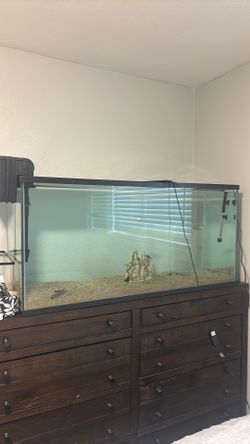 75 gallon fish tank