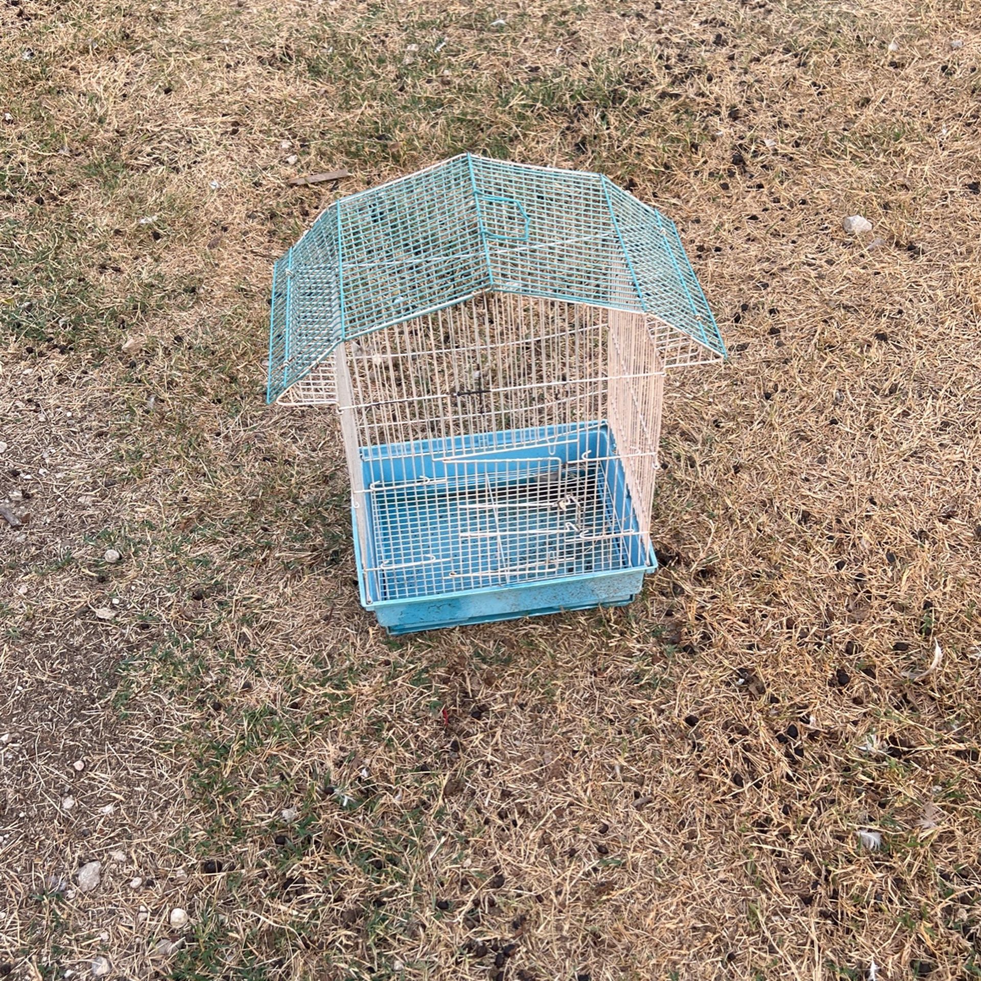 Bird Cage?