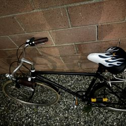 Bicicleta Clásica 