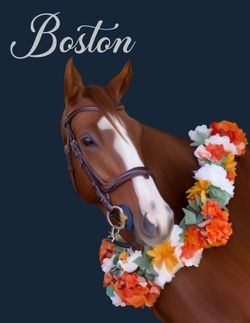 CUSTOM HAND DRAWN PET PORTRAITS