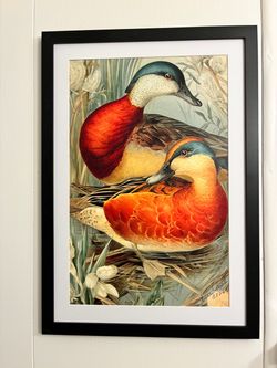 $39. 14”x20”. MALLARDS. Art Print