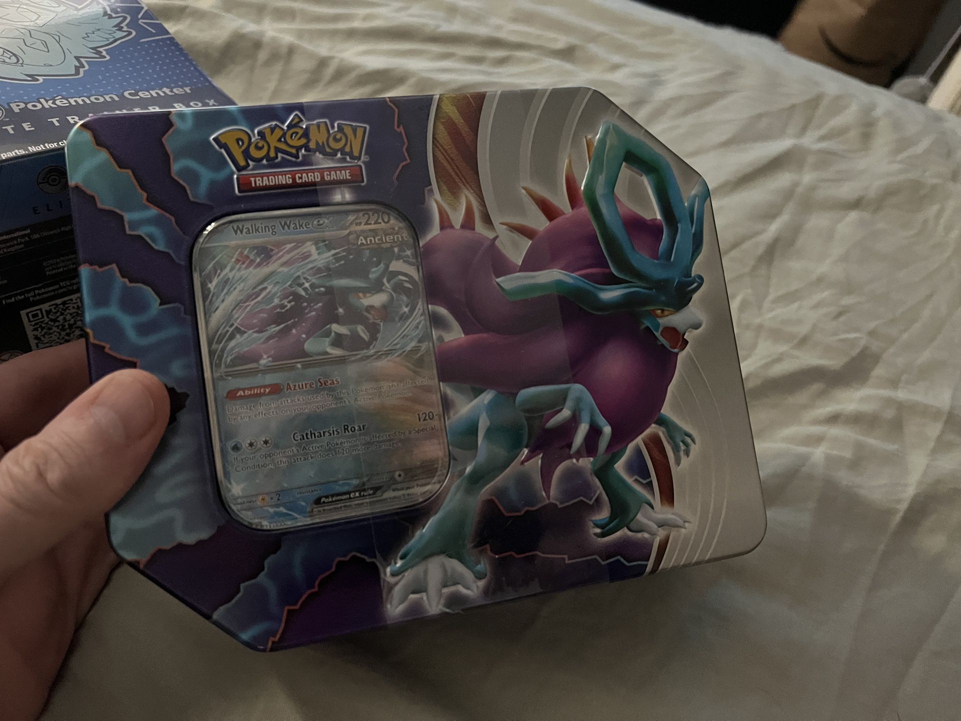 Pokemon Paradox Destinies Iron Tin