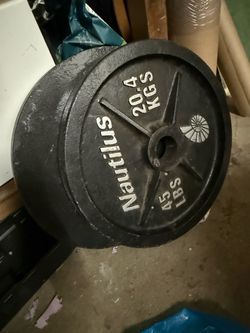 2x Nautilus 45 weight lifting plates