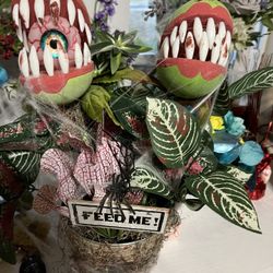 Halloween Plant