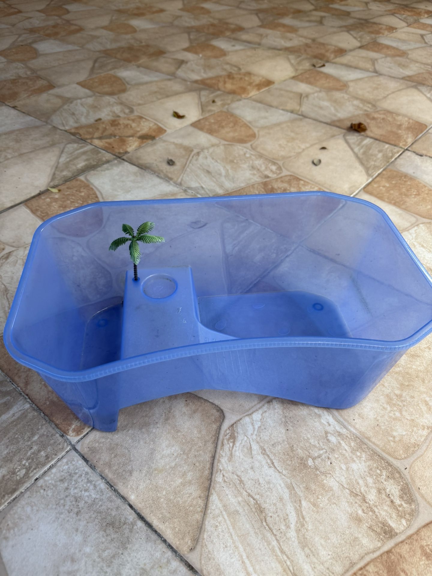 Turtle Tank