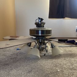 Ceiling Fan