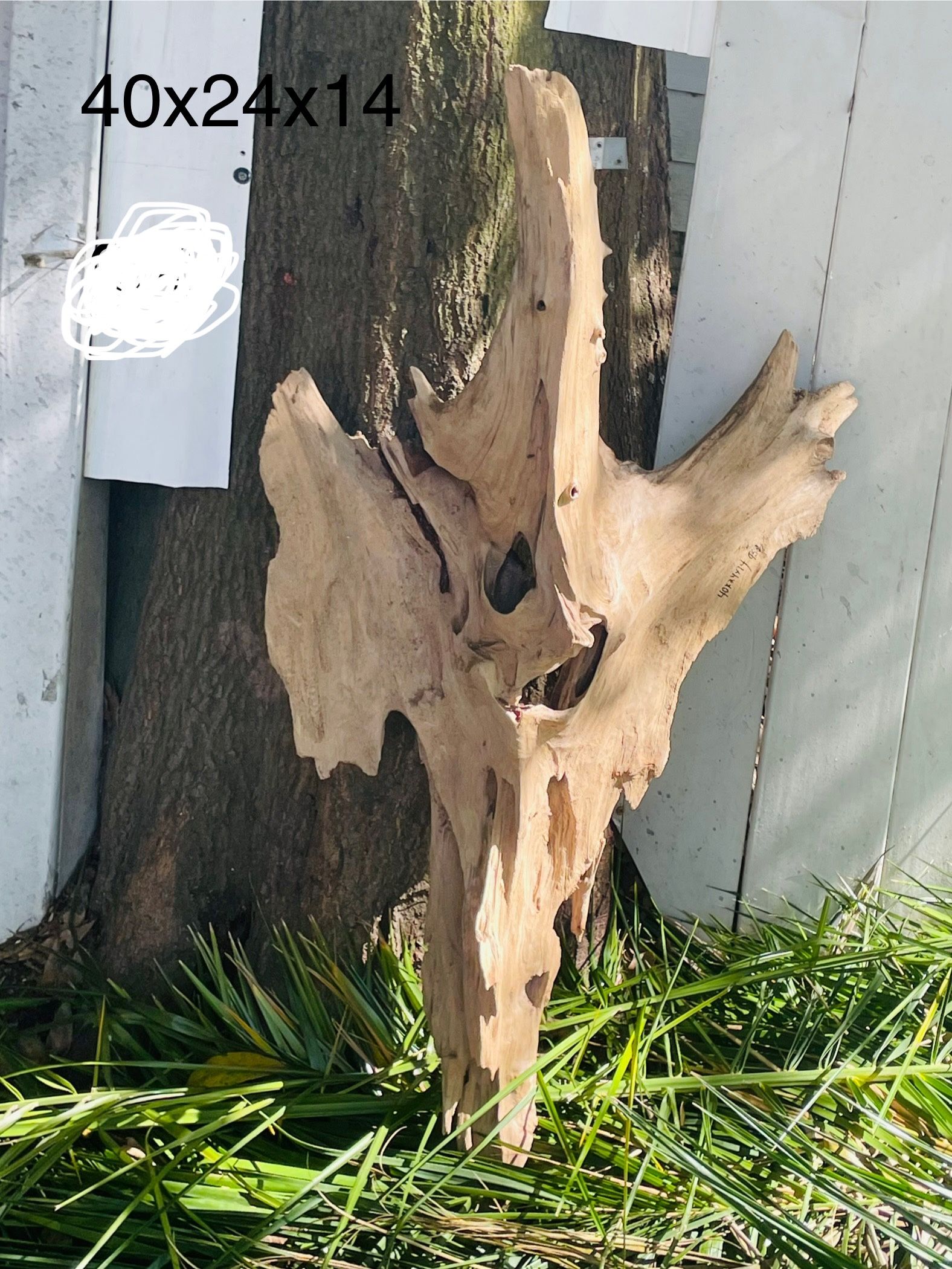 Driftwood Very Nice Pieces