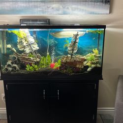 Fish Tank