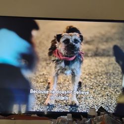 4k LG 65qned80uqa