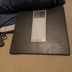 Báscula Digital Taylor