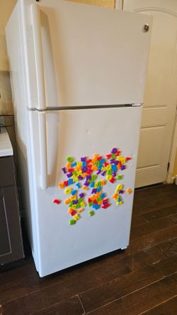 Fridge