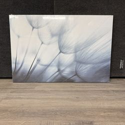 Canvas Artwork