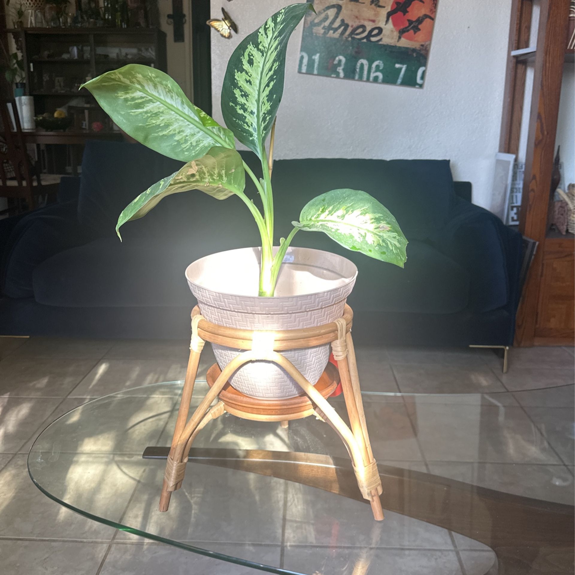 Plant Stand