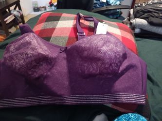 Clinique high-end bra