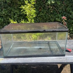 Turtle Tank 