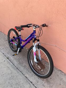 Schwinn Ranger mountain bike aluminum frame 24 inches tires ready to ride is new