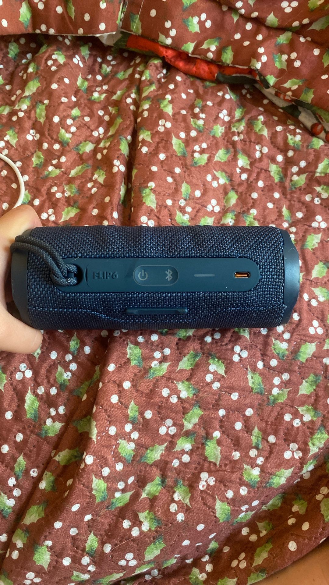 Jbl flip 6 speaker
