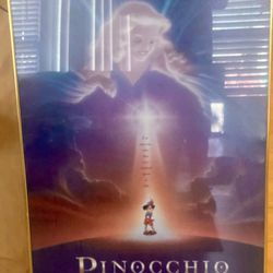 Disney theater double sided movie poster 